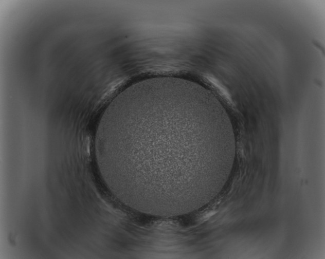 X0000091940115200709191427