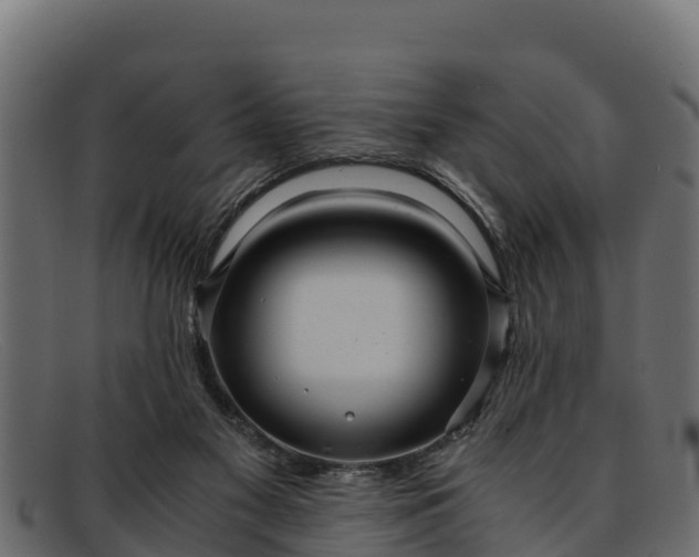 X0000091940117200709191427