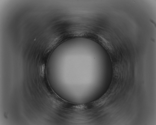 X0000091940118200709191427