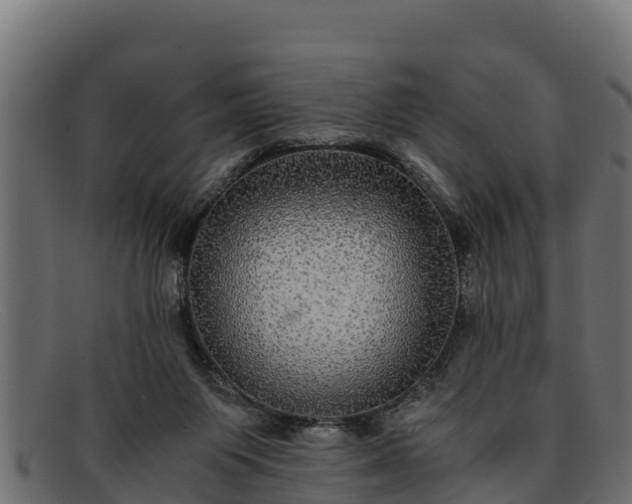 X0000091940119200709191427