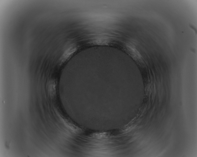 X0000091940120200709191427