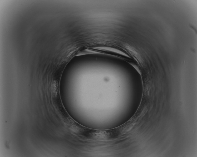 X0000091940121200709191427