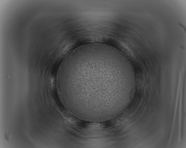 X0000091940123200709191427