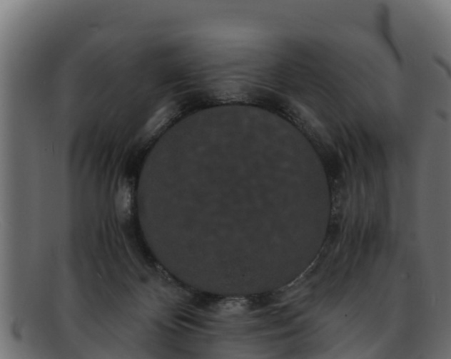 X0000091940124200709191427