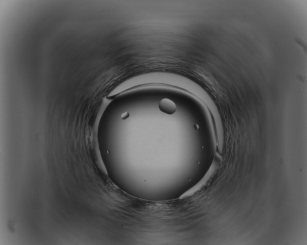 X0000091940125200709191427