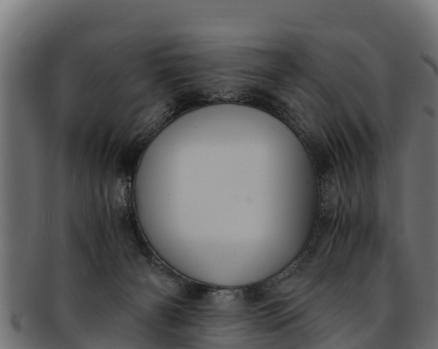 X0000091940126200709191427