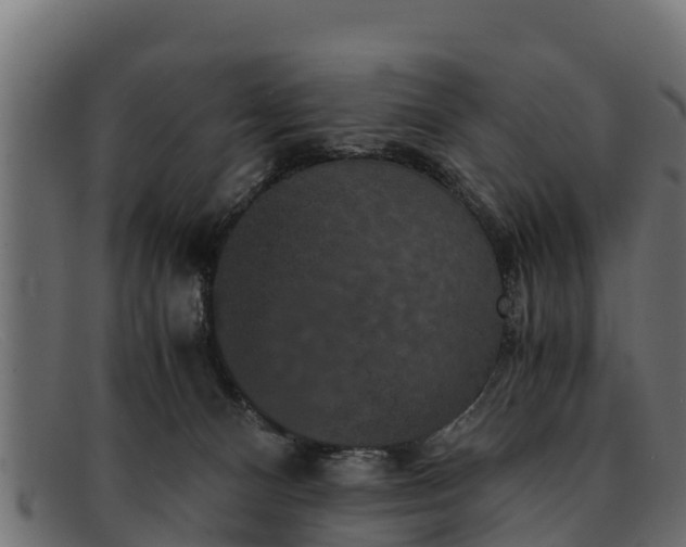 X0000091940128200709191427