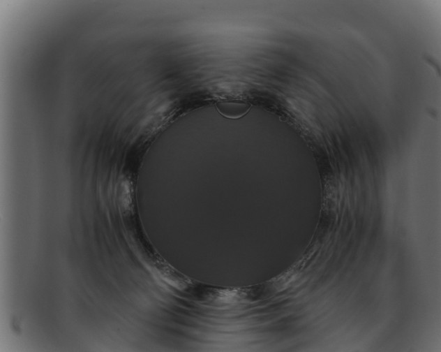 X0000091940130200709191427