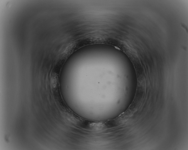 X0000091940133200709191427