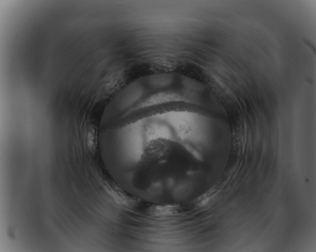 X0000091940134200709191427