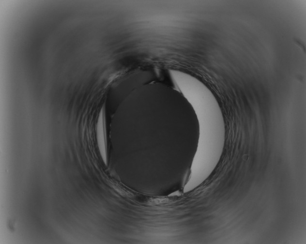 X0000091940137200709191427