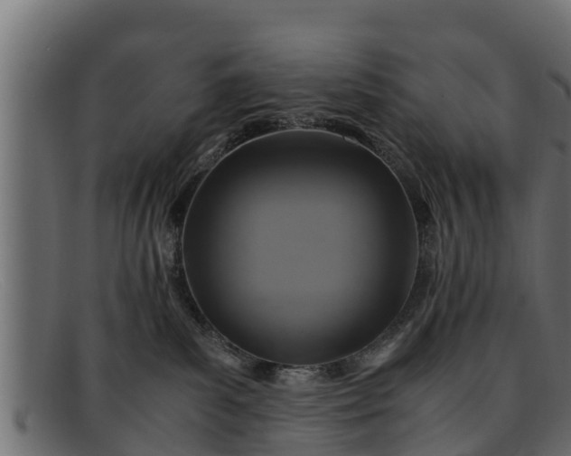 X0000091940139200709191427