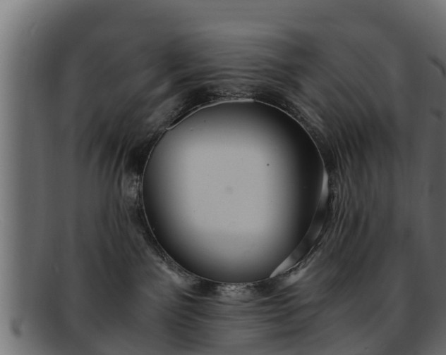 X0000091940141200709191427