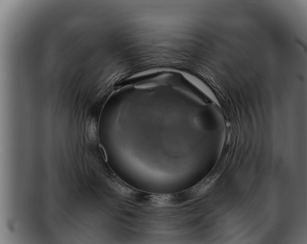 X0000091940143200709191427