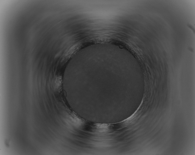 X0000091940144200709191427