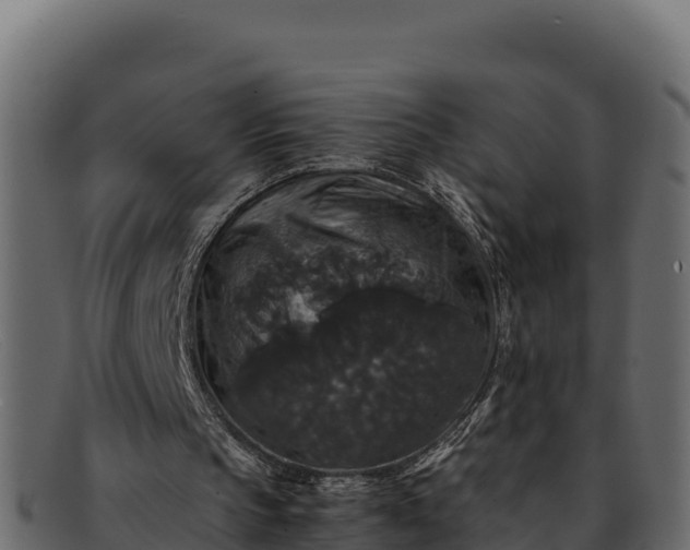 X0000091940145200709191426