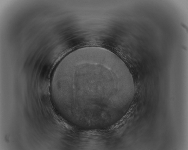 X0000091940146200709191426