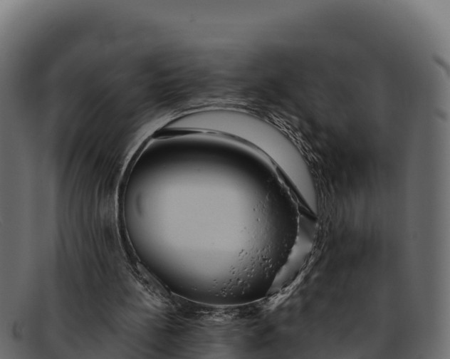 X0000091940148200709191426