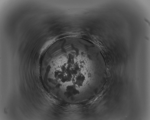 X0000091940149200709191426