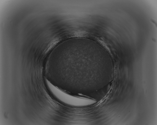 X0000091940154200709191426