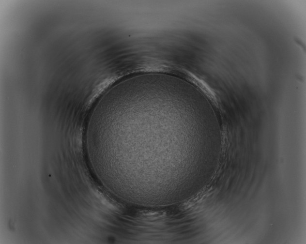 X0000091940155200709191426