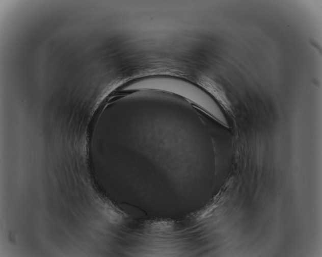 X0000091940156200709191426