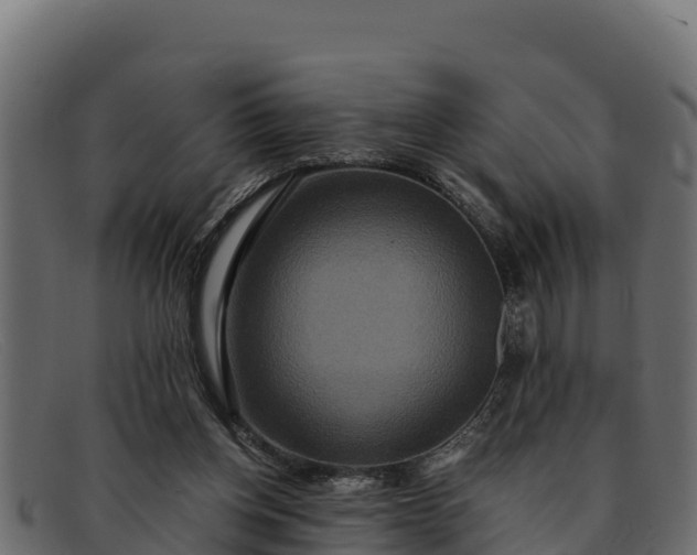 X0000091940158200709191426