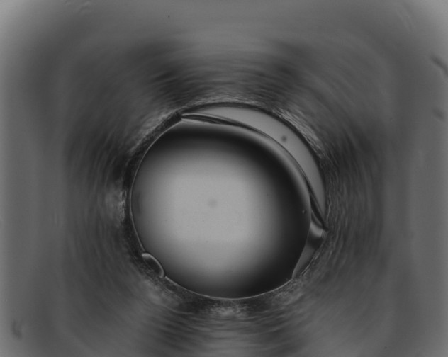 X0000091940160200709191426