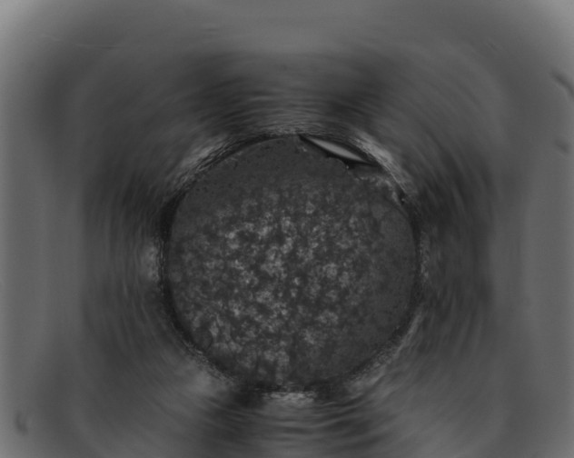 X0000091940161200709191426