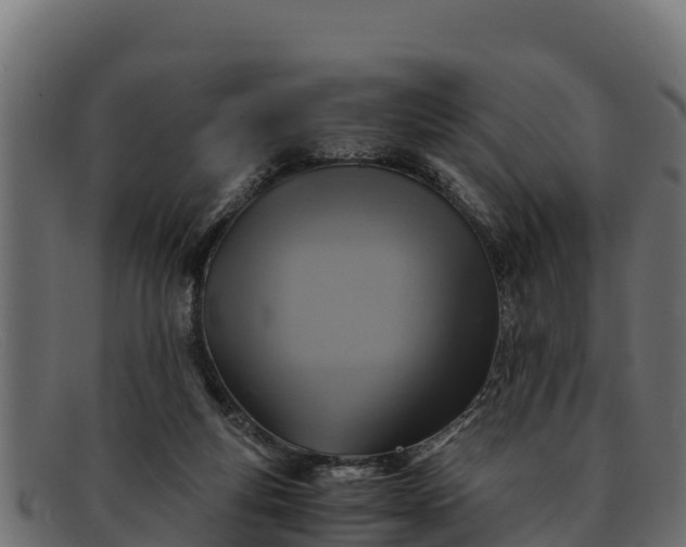 X0000091940163200709191426