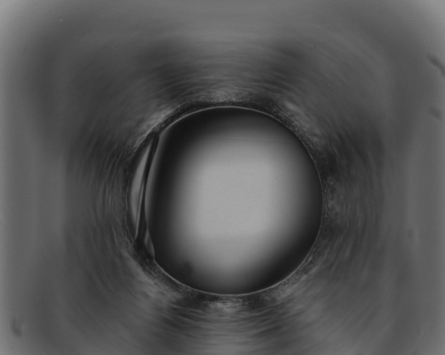 X0000091940164200709191426