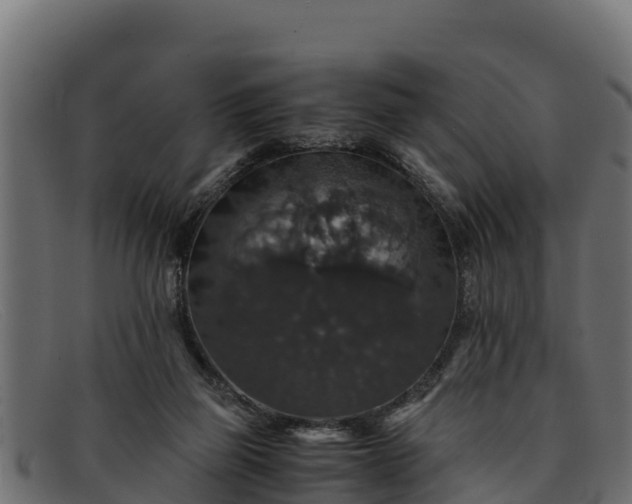 X0000091940165200709191426