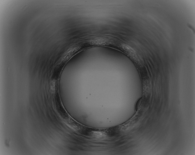 X0000091940167200709191426