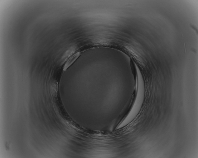 X0000091940168200709191427