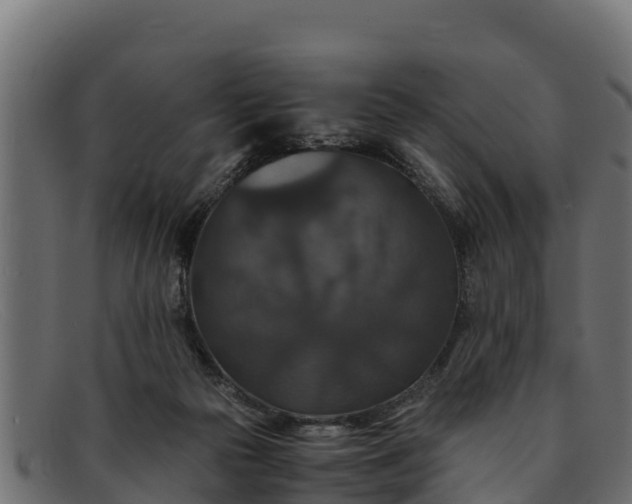 X0000091940169200709191427