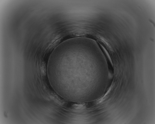 X0000091940170200709191427