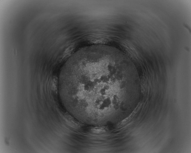 X0000091940175200709191427