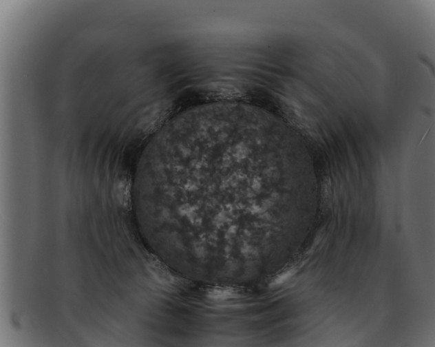 X0000091940177200709191427