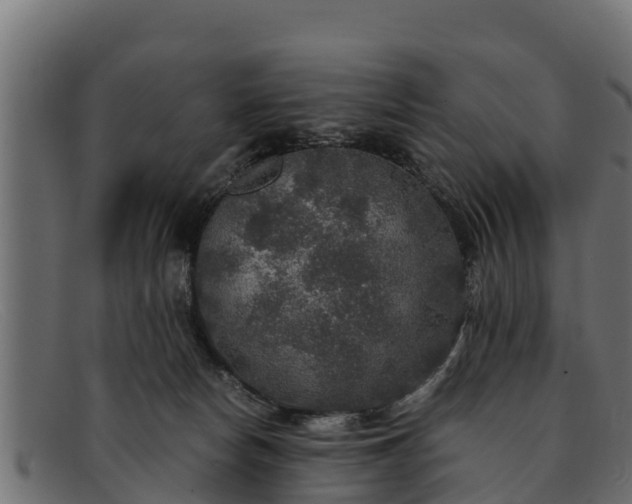 X0000091940178200709191427