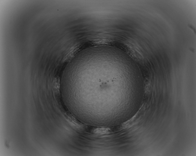 X0000091940179200709191427