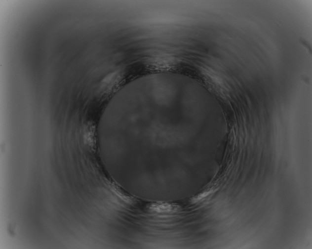 X0000091940181200709191427