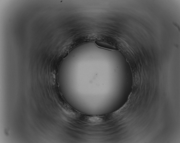 X0000091940183200709191427