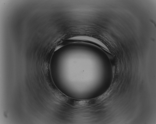 X0000091940184200709191427