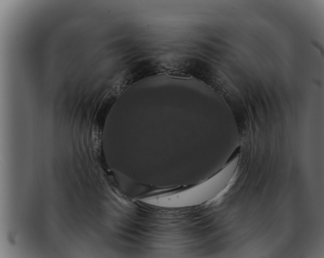 X0000091940186200709191427