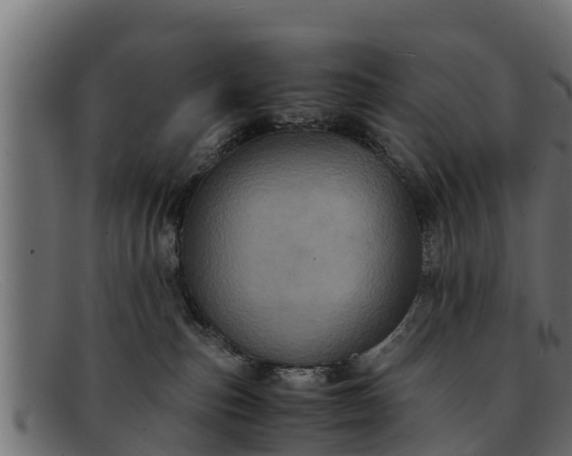 X0000091940187200709191427