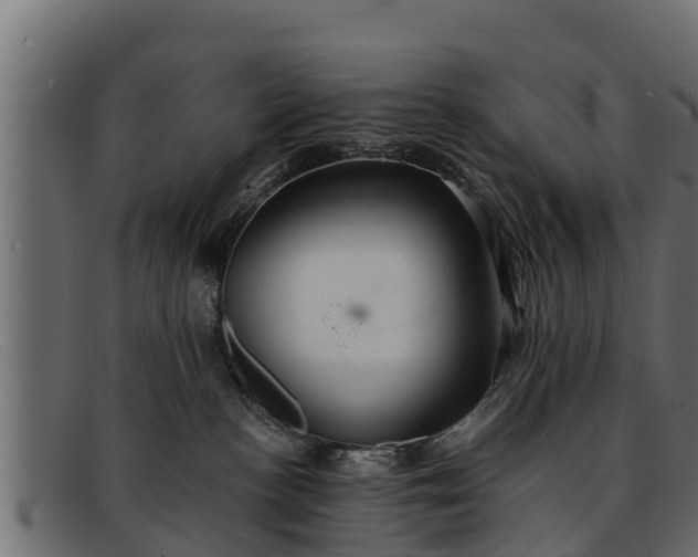 X0000091940188200709191427