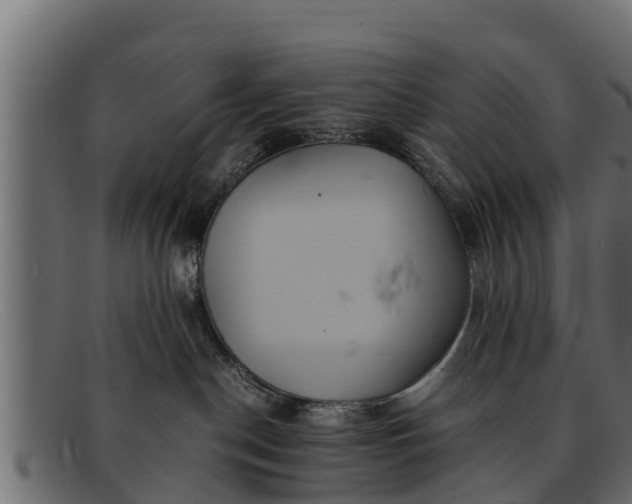 X0000091940190200709191427