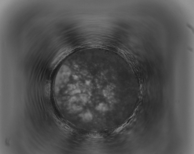 X0000091940194200709191426