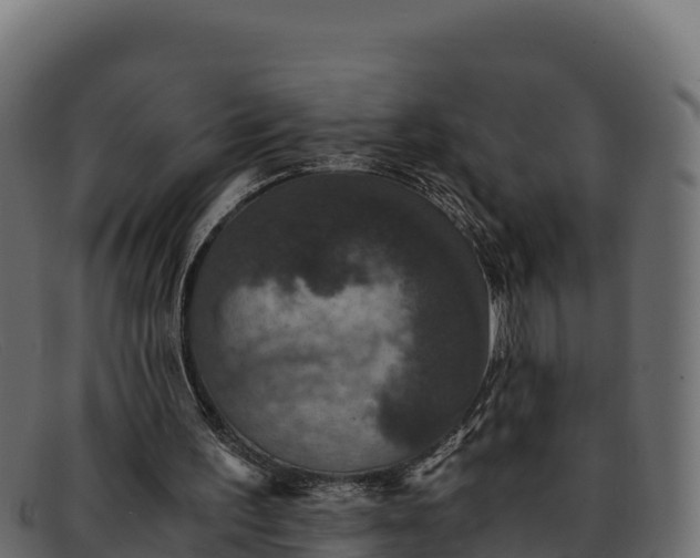 X0000091940195200709191426