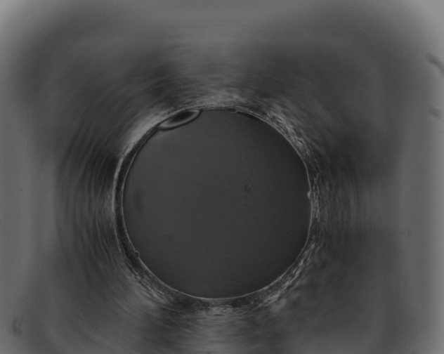 X0000091940196200709191426